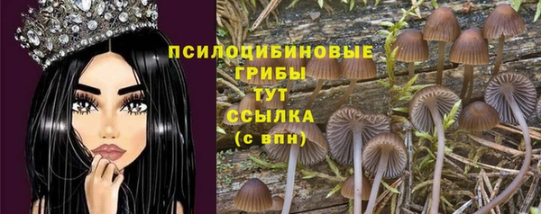 соль курить ск Балахна