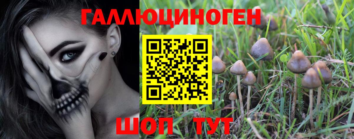Псилоцибиновые грибы Cubensis Белово
